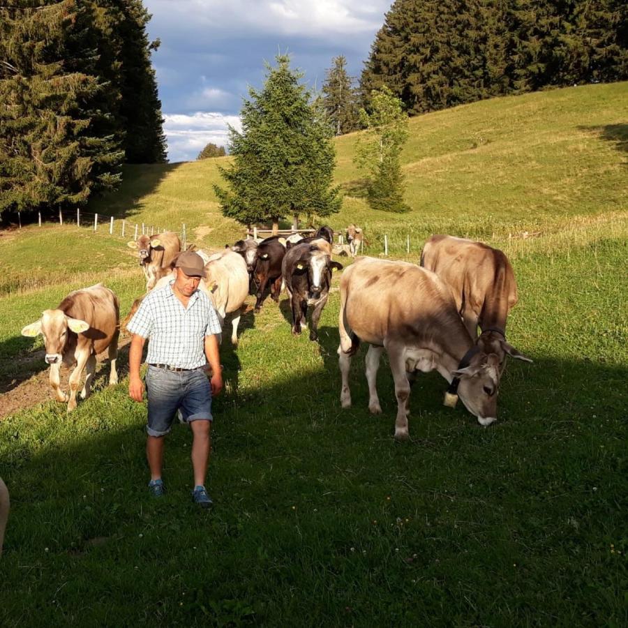 Heimenkirch Andreashofヴィラ エクステリア 写真